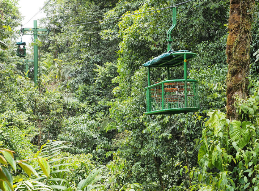 Braulio Carrillo National Park, Near San José/Heredia, Costa Rica